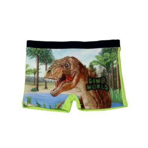 Dino World Green Boys Swim Shorts